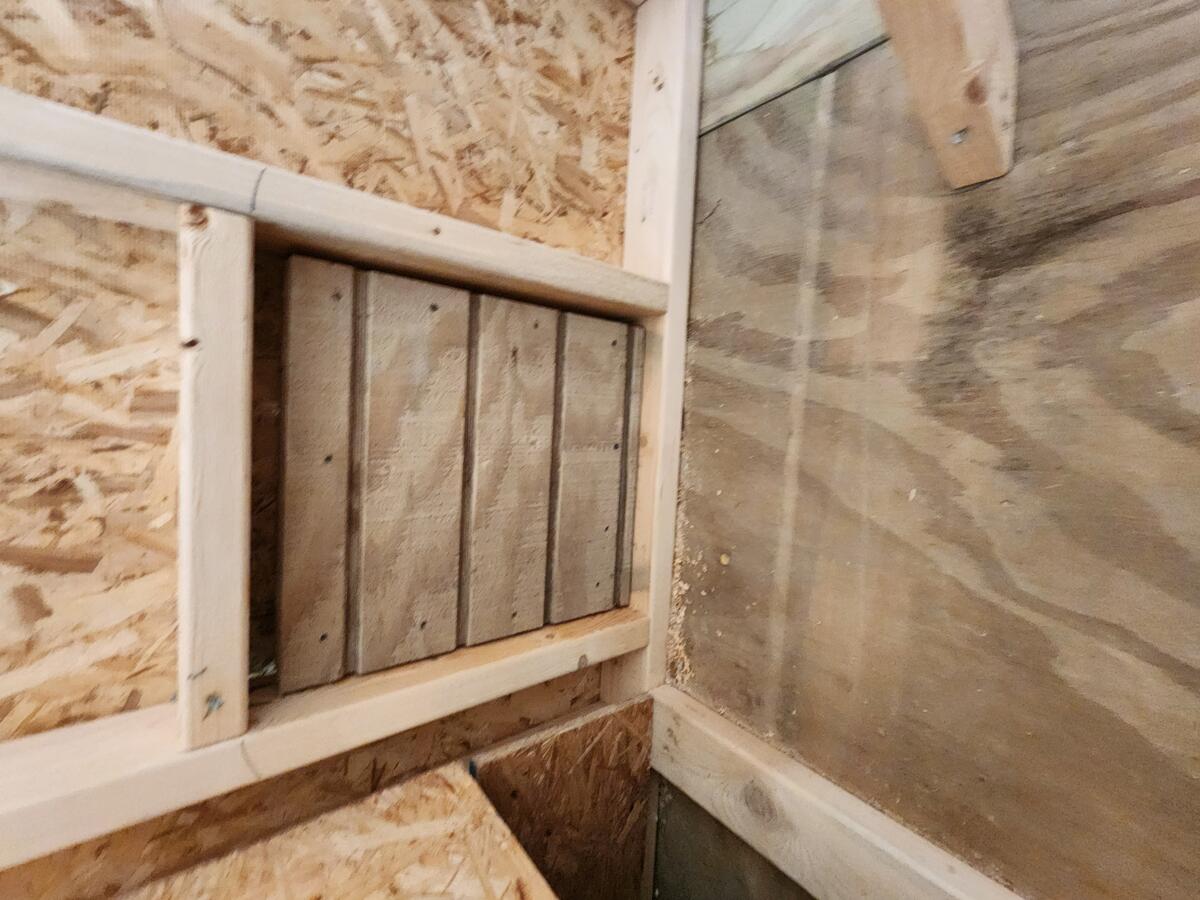 Chicken Coop