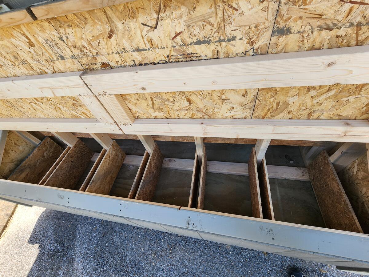 Chicken Coop
